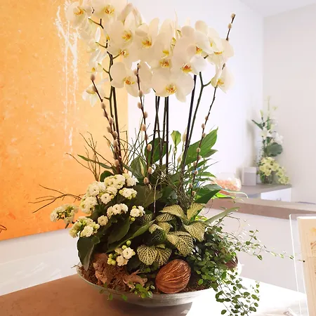 Ξενοδοχείο Seifert Am Kurfuerstendamm