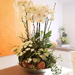 Hotel Seifert Am Kurfuerstendamm